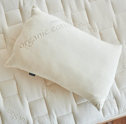 Naturepedic PLA Kids Pillow with Organic Fabric